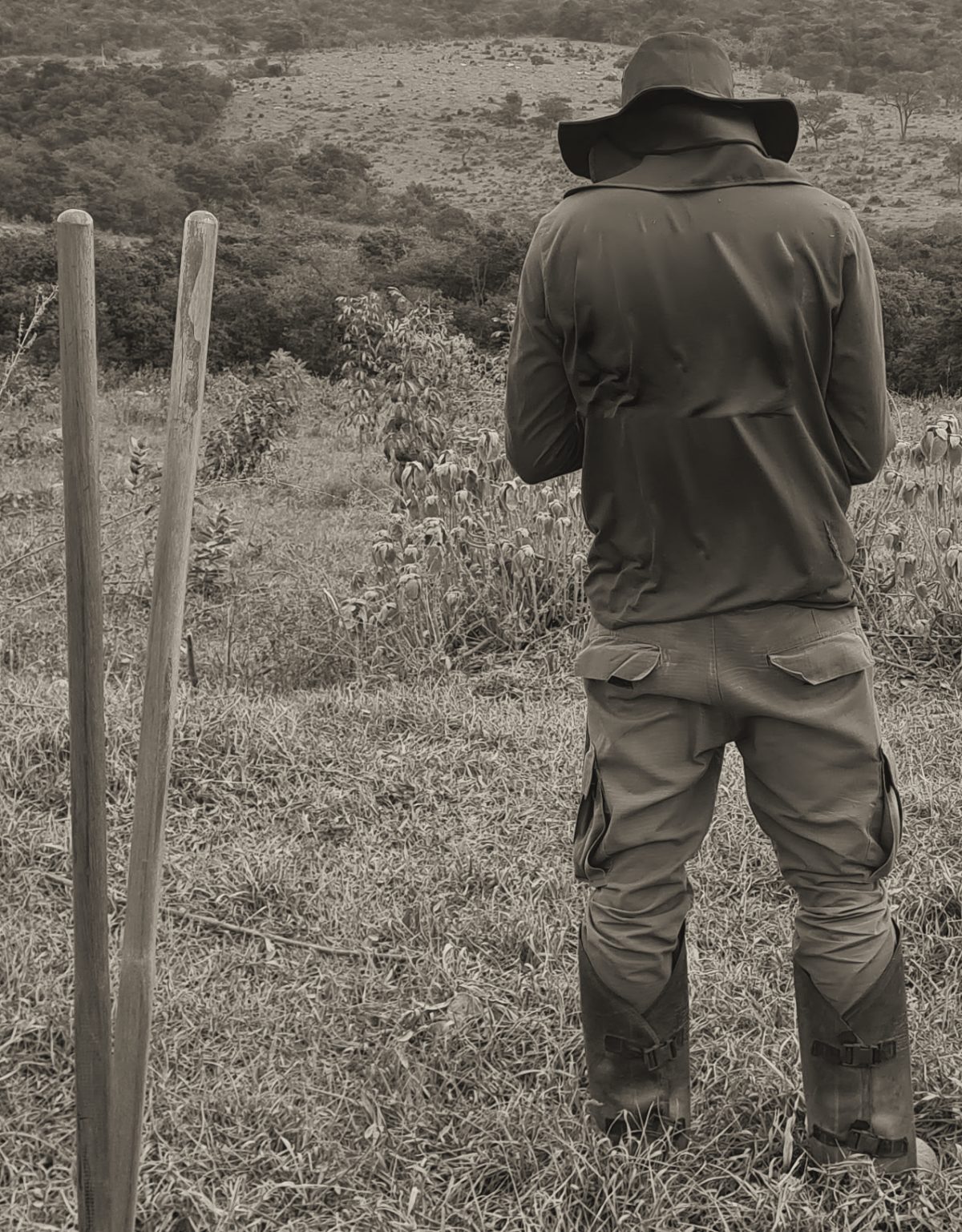 Field professional seen from behind, in a hat, leg guards and boots, facing hills with native vegetation